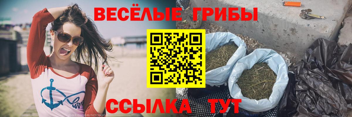Галлюциногенные грибы Magic Shrooms  как найти   Учалы  Вход с VPN  Псилоцибиновые грибы Psilocybe 